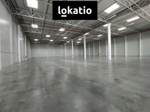 Pronájem skladu, Hostivice, K Dálnici, 2733 m2