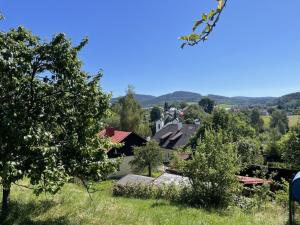 Prodej pozemku pro bydlení, Kašperské Hory, Rejštejnská, 4330 m2