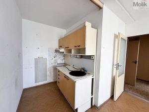 Prodej bytu 2+kk, Krupka - Bohosudov, Dlouhá, 39 m2