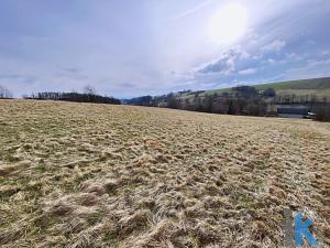 Prodej pozemku pro bydlení, Jindřichov, 29065 m2