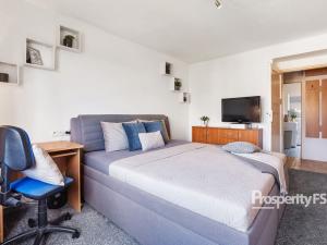 Prodej bytu 2+1, Staré Město, Jesenická, 58 m2