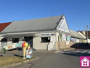 Prodej obchodního prostoru, Březí, Hlavní, 384 m2