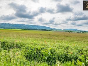 Prodej pozemku pro bydlení, Bousov, 1174 m2