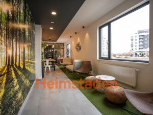 Pronájem bytu 1+kk, Plzeň - Jižní Předměstí, Magisterská, 27 m2