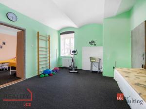 Prodej rodinného domu, Žlutice, Hradební, 300 m2