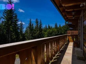 Prodej chaty, Nový Hrozenkov, 235 m2