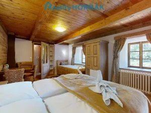 Prodej rodinného domu, Černá v Pošumaví - Bližná, 340 m2