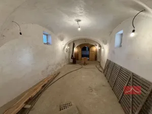 Prodej komerční nemovitosti, Ledeč nad Sázavou, Mlýnská, 316 m2