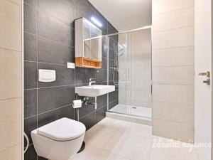 Pronájem bytu 2+kk, Brno, Podveská, 59 m2
