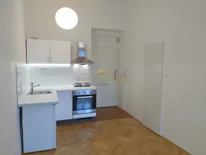 Pronájem bytu 1+kk, Praha - Libeň, Pod Labuťkou, 19 m2
