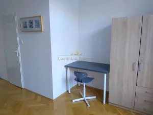 Pronájem bytu 1+kk, Praha - Libeň, Pod Labuťkou, 19 m2