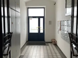 Pronájem bytu 1+kk, Praha - Libeň, Pod Labuťkou, 19 m2