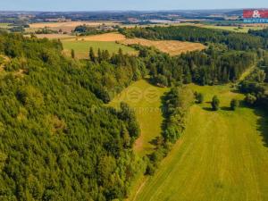 Prodej trvalého travního porostu, Mladý Smolivec - Starý Smolivec, 13489 m2