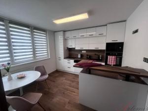Prodej bytu 1+1, Frýdek-Místek - Frýdek, Mánesova, 47 m2