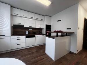 Prodej bytu 1+1, Frýdek-Místek - Frýdek, Mánesova, 47 m2
