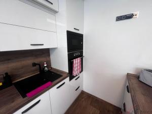 Prodej bytu 1+1, Frýdek-Místek - Frýdek, Mánesova, 47 m2