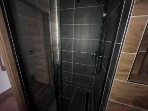 Prodej bytu 1+1, Frýdek-Místek - Frýdek, Mánesova, 47 m2