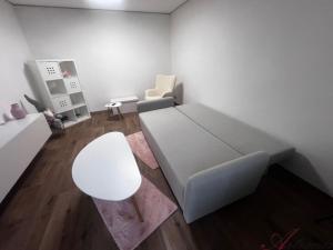 Prodej bytu 1+1, Frýdek-Místek - Frýdek, Mánesova, 47 m2