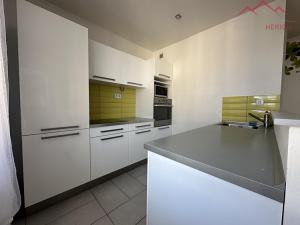 Prodej bytu 2+kk, Chomutov, Partyzánská, 56 m2