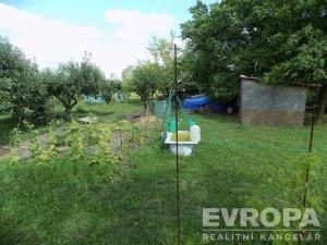Prodej zahrady, Bělušice, 4787 m2