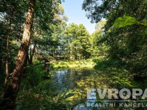 Prodej pozemku pro bydlení, Kájov - Lazec, 21233 m2