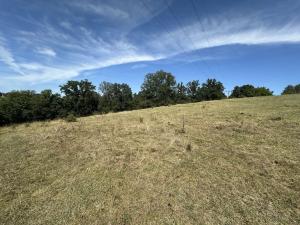 Prodej trvalého travního porostu, Jílové u Prahy, 12734 m2