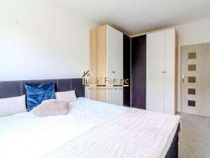 Pronájem bytu 2+kk, Teplice - Nová Ves, Javorová, 43 m2