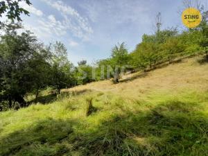 Prodej trvalého travního porostu, Ždírec nad Doubravou - Nový Studenec, 31882 m2