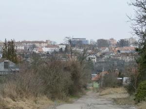 Pronájem zahrady, Znojmo, Leska Horní, 423 m2