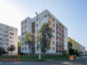 Prodej bytu 1+1, Hradec Králové - Třebeš, Hradecká, 38 m2