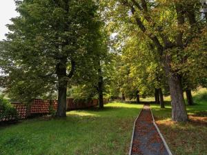 Prodej komerční nemovitosti, Litvínov - Janov, Přátelství, 1255 m2