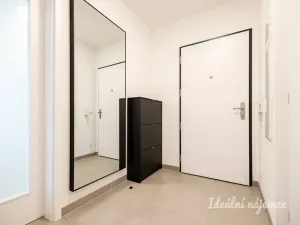 Pronájem bytu 2+kk, Praha - Žižkov, Olgy Havlové, 46 m2