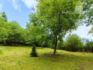 Prodej pozemku pro bydlení, Roztoky, V Úvoze, 3034 m2