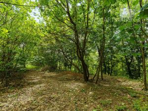 Prodej pozemku pro bydlení, Roztoky, V Úvoze, 3034 m2