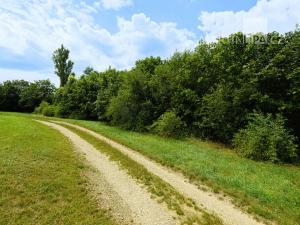 Prodej pozemku pro bydlení, Roztoky, V Úvoze, 3034 m2