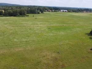 Prodej lesa, Chlum u Třeboně - Žíteč, 220000 m2