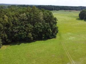 Prodej lesa, Chlum u Třeboně - Žíteč, 220000 m2