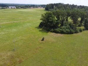 Prodej louky, Chlum u Třeboně - Žíteč, 220000 m2