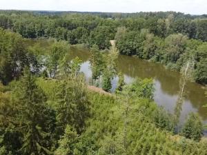 Prodej louky, Chlum u Třeboně - Žíteč, 220000 m2