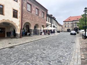 Prodej obchodního prostoru, Prachatice - Prachatice I, Velké náměstí, 260 m2