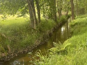 Prodej louky, Chlum u Třeboně - Žíteč, 360000 m2