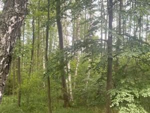 Prodej louky, Chlum u Třeboně - Žíteč, 360000 m2