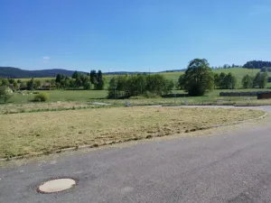 Prodej pozemku pro bydlení, Zdíkov, 1200 m2