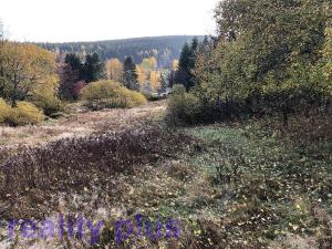 Prodej trvalého travního porostu, Bedřichov, 7974 m2