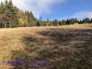 Prodej trvalého travního porostu, Bedřichov, 6251 m2