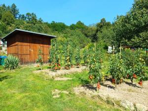 Prodej zahrady, Písek - Budějovické Předměstí, U Honzíčka, 816 m2