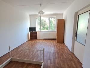 Prodej bytu 1+1, Ostrov, Lidická, 41 m2