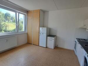 Prodej bytu 1+1, Ostrov, Lidická, 41 m2