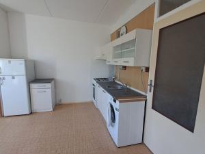 Prodej bytu 1+1, Ostrov, Lidická, 41 m2