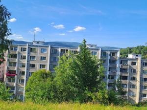 Prodej bytu 1+1, Ostrov, Lidická, 41 m2